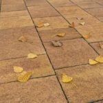 Тротуарная плитка Антара Б.1.АН.6см гранит листопад Осень